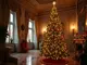 melania-trump-empfaengt-weihnachtsbaum-im-weissen-haus-emotionale-zeremonie