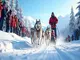 promi-schlittenhunderennen-baltic-lights-begeistert-mit-stars-und-huskys-auf-usedom